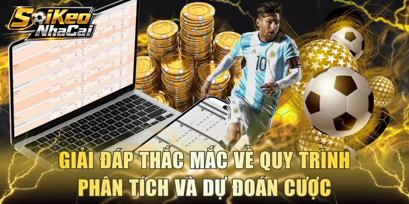 Giải đáp thắc mắc về quy trình phân tích và dự đoán cược